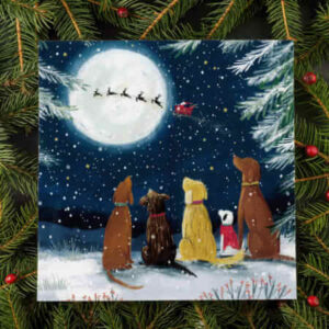 Christmas card with 5 dogs staring into the sky at Santa on his sleigh