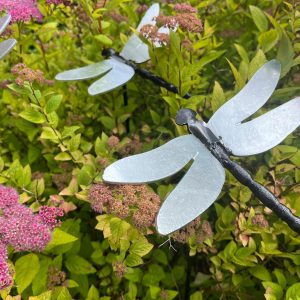 Limited Edition Dragonfly - From the Meadow at Sandringham