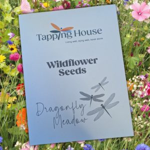Dragonfly Meadow Seeds