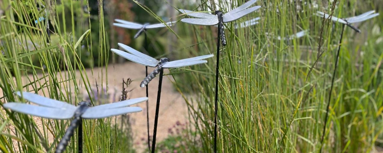 Dragonflies for Tapping House Norfolk hospice charity event, Dragonfly Meadow