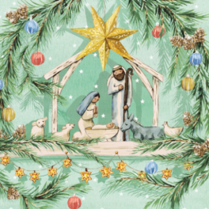Nativity Star Christmas Cards
