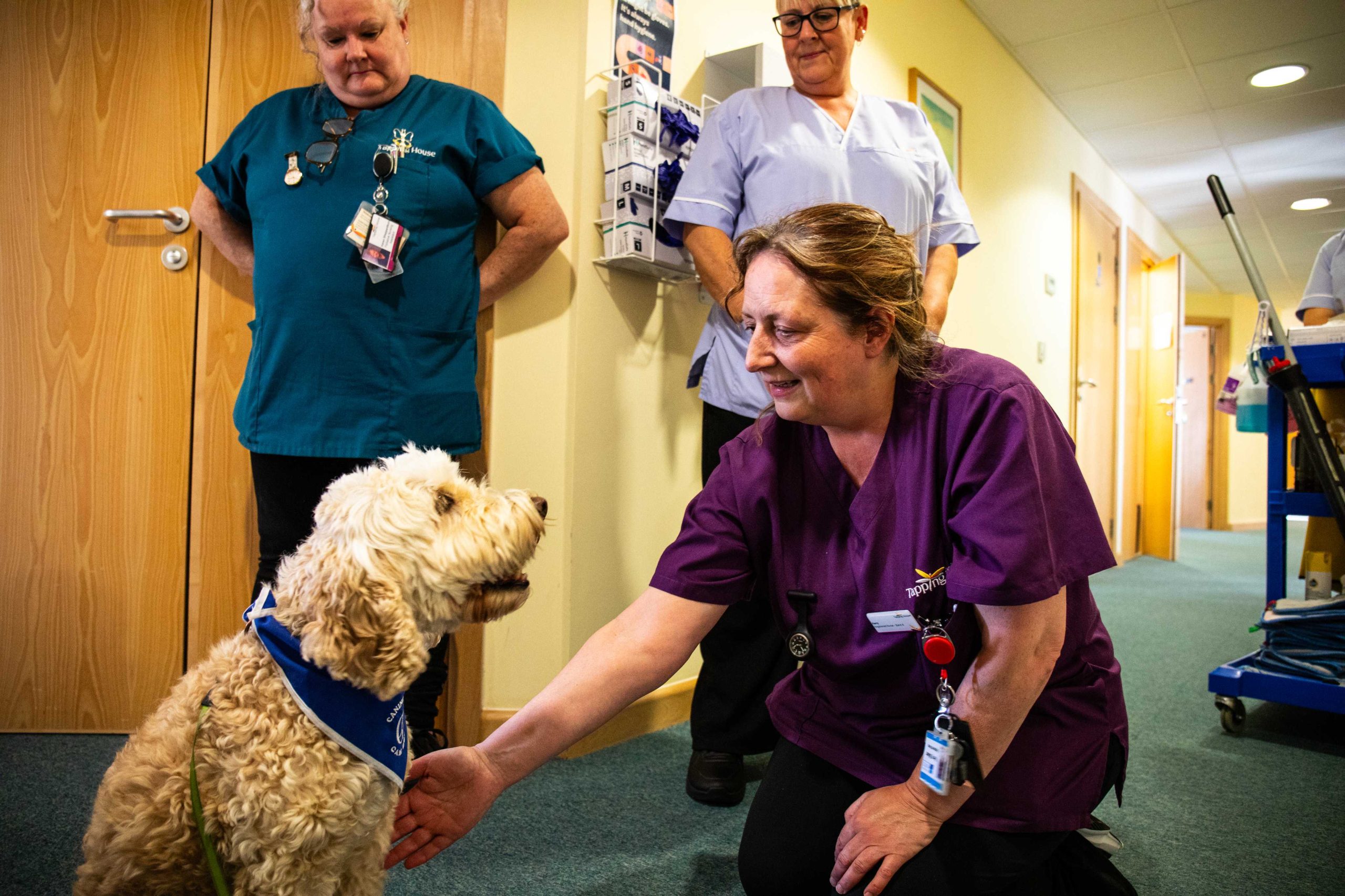 Team members interacting with dog at Tapping House Norfolk Hospice Charity